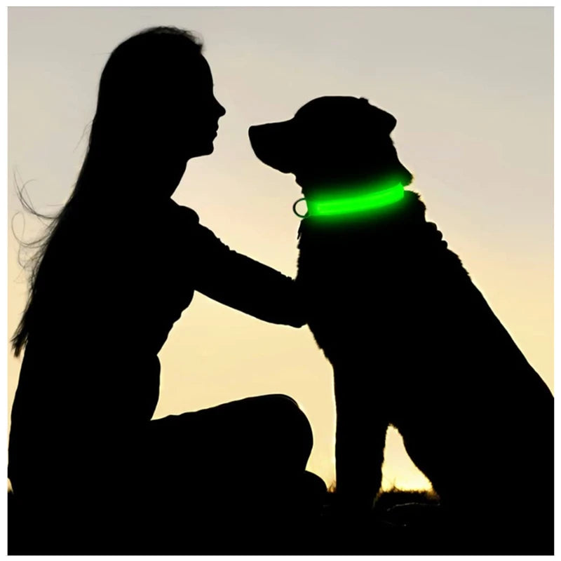 Wuffy GlowWalk Rechargeable LED Safety Collar