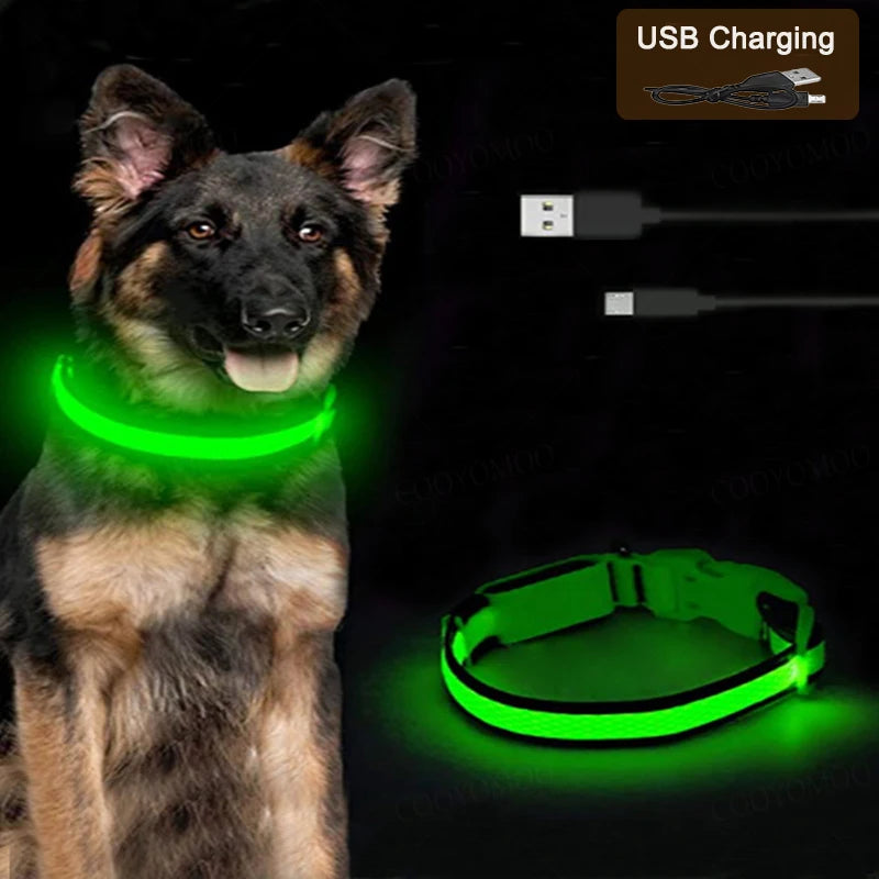 Wuffy GlowWalk Rechargeable LED Safety Collar