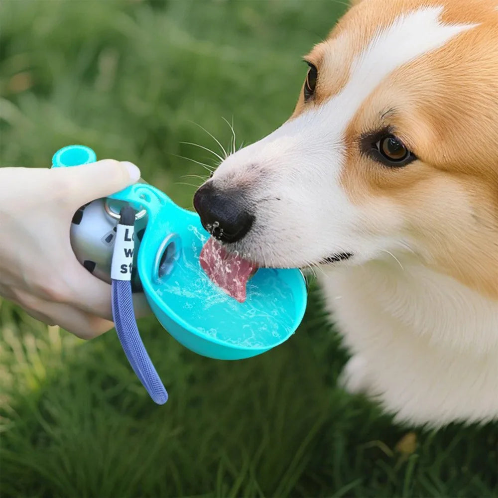 Corgi drinking from the OrbSip silicone bowl out on the grass
