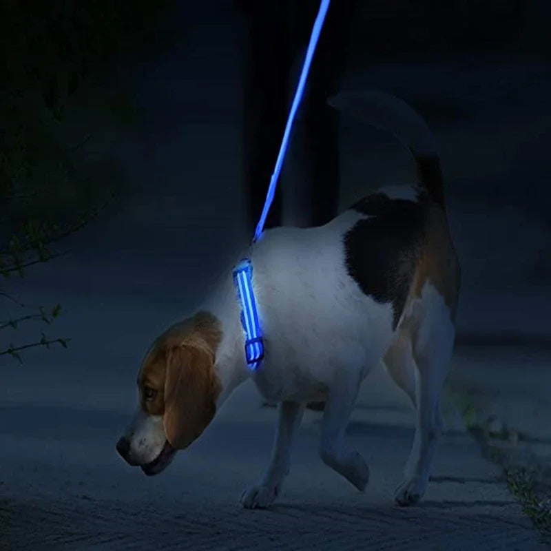 Wuffy GlowWalk Rechargeable LED Safety Collar
