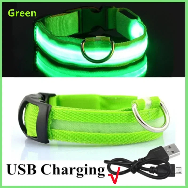 Wuffy GlowWalk Rechargeable LED Safety Collar