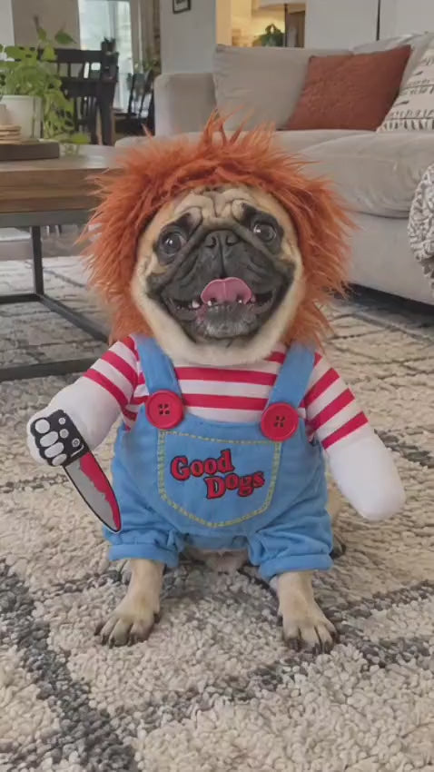 Pug sitting on a rug wearing the Wuffy Chucky doll dog costume with red wig, striped shirt and Good Dogs overalls