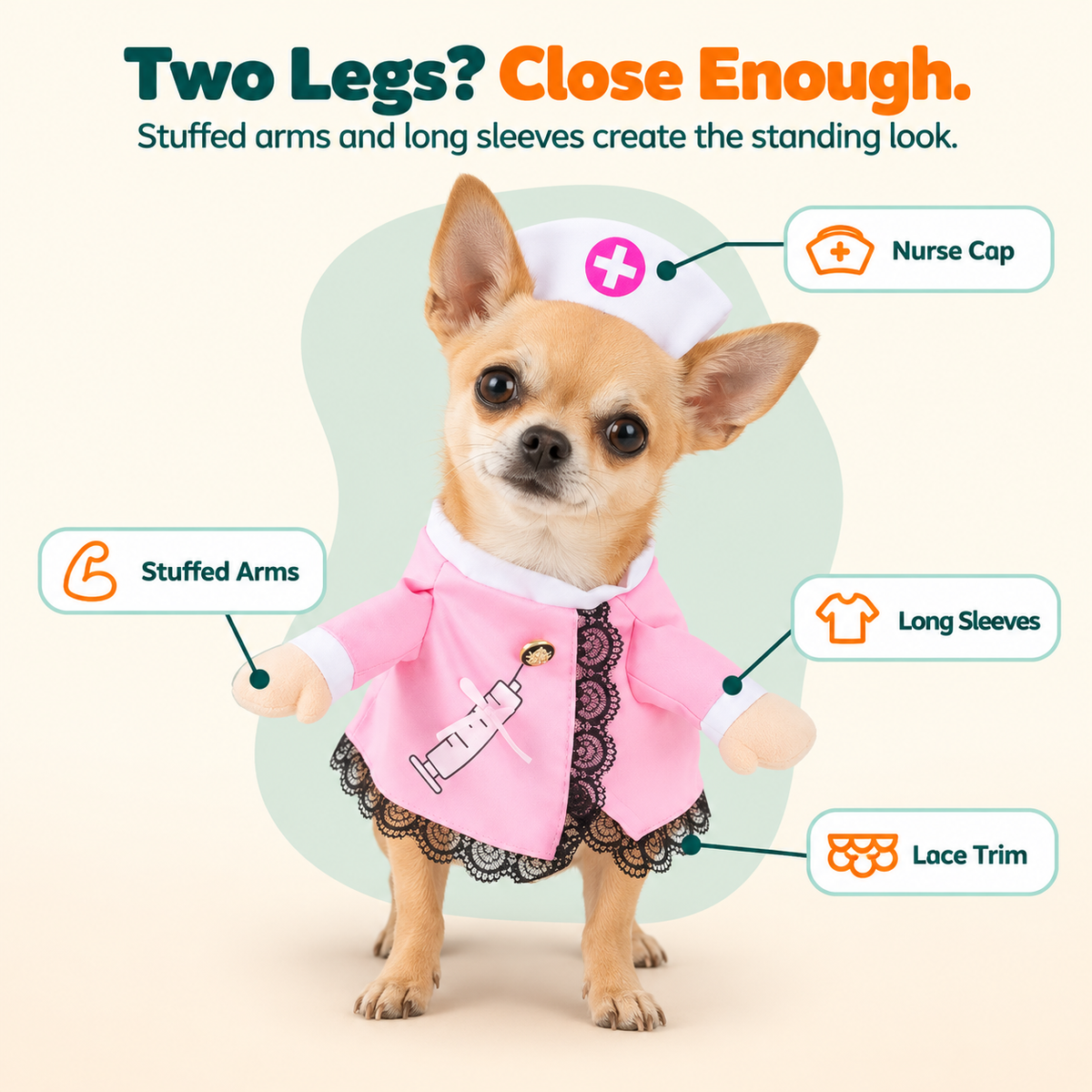Chihuahua in the Wuffy CosPup Nurse Pup dog costume with stuffed arms, long sleeves, nurse cap and lace trim