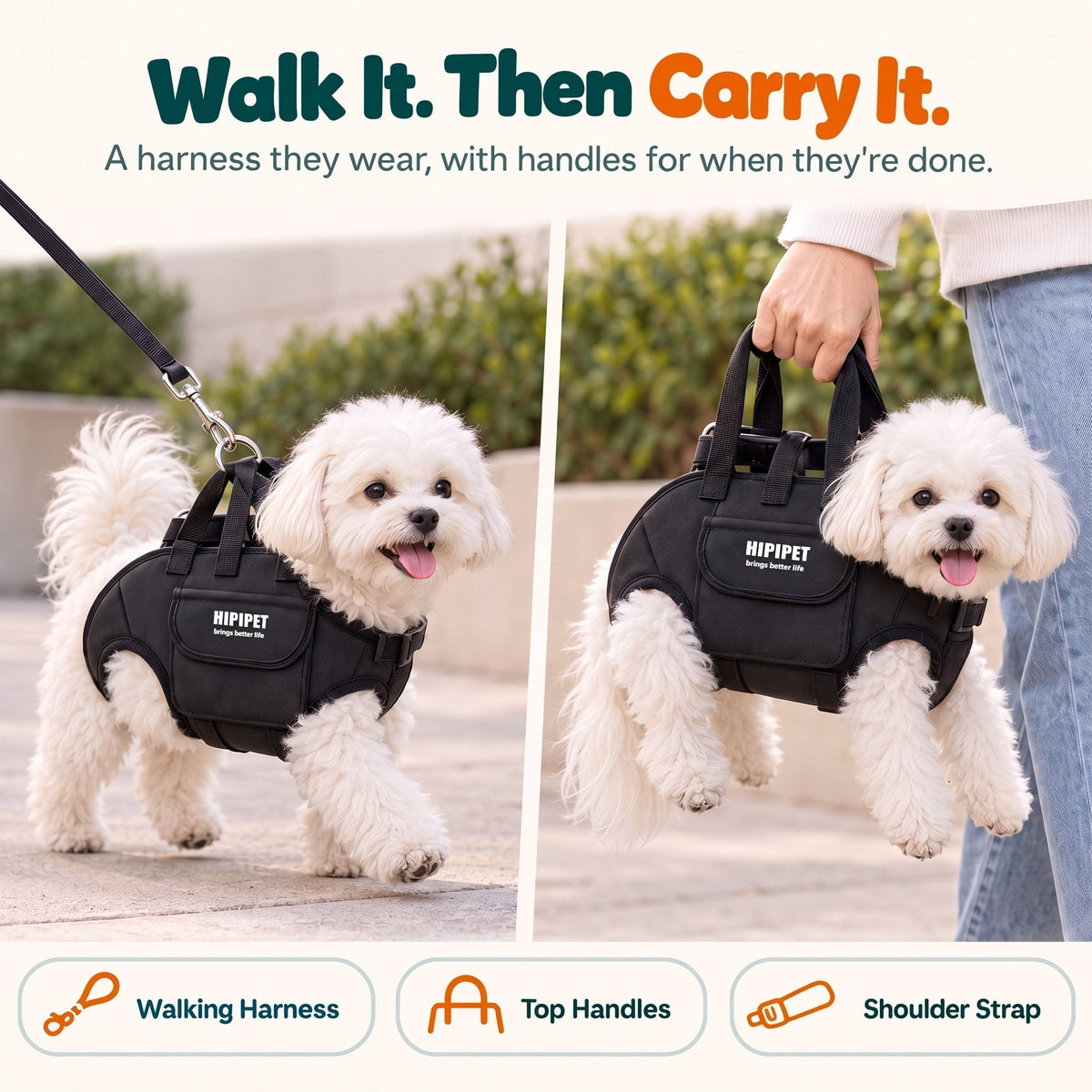 Small white dog wearing the Wuffy DayTrip harness on a walk, then lifted by its reinforced top handles
